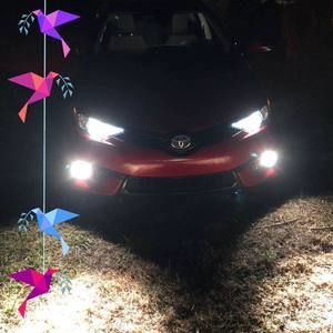 Meet your Posher, Damion